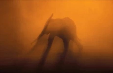 LAND OF CONTRASTS LAND OF CONTRASTS